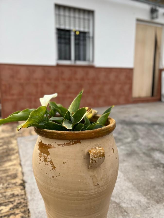 Agua De Verano San Bartolome de la Torre ภายนอก รูปภาพ